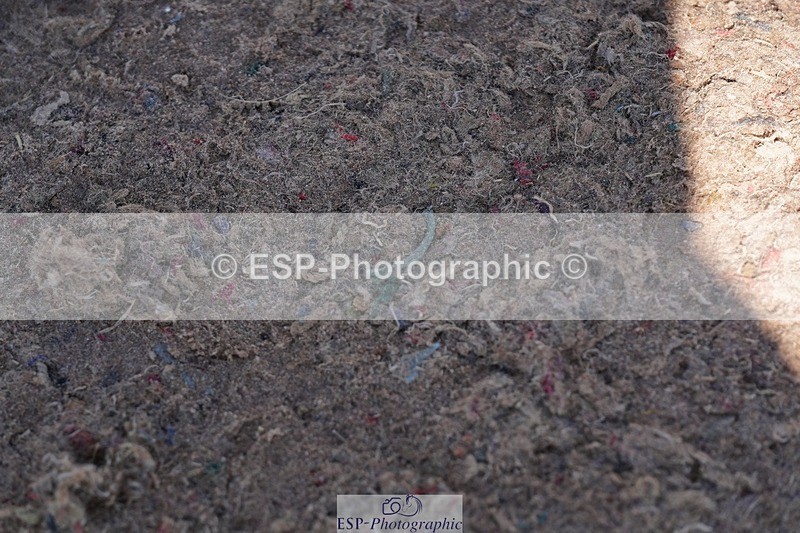 250510-095754-10185 - Cls 14 Snr 1.20m Open