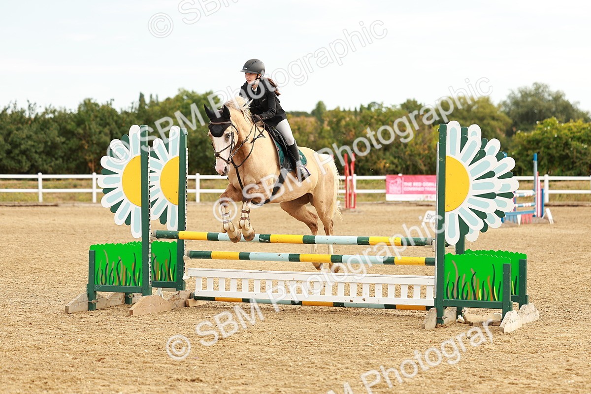 SBM_002243 - Class 9 - Senior British Novice - 90cm