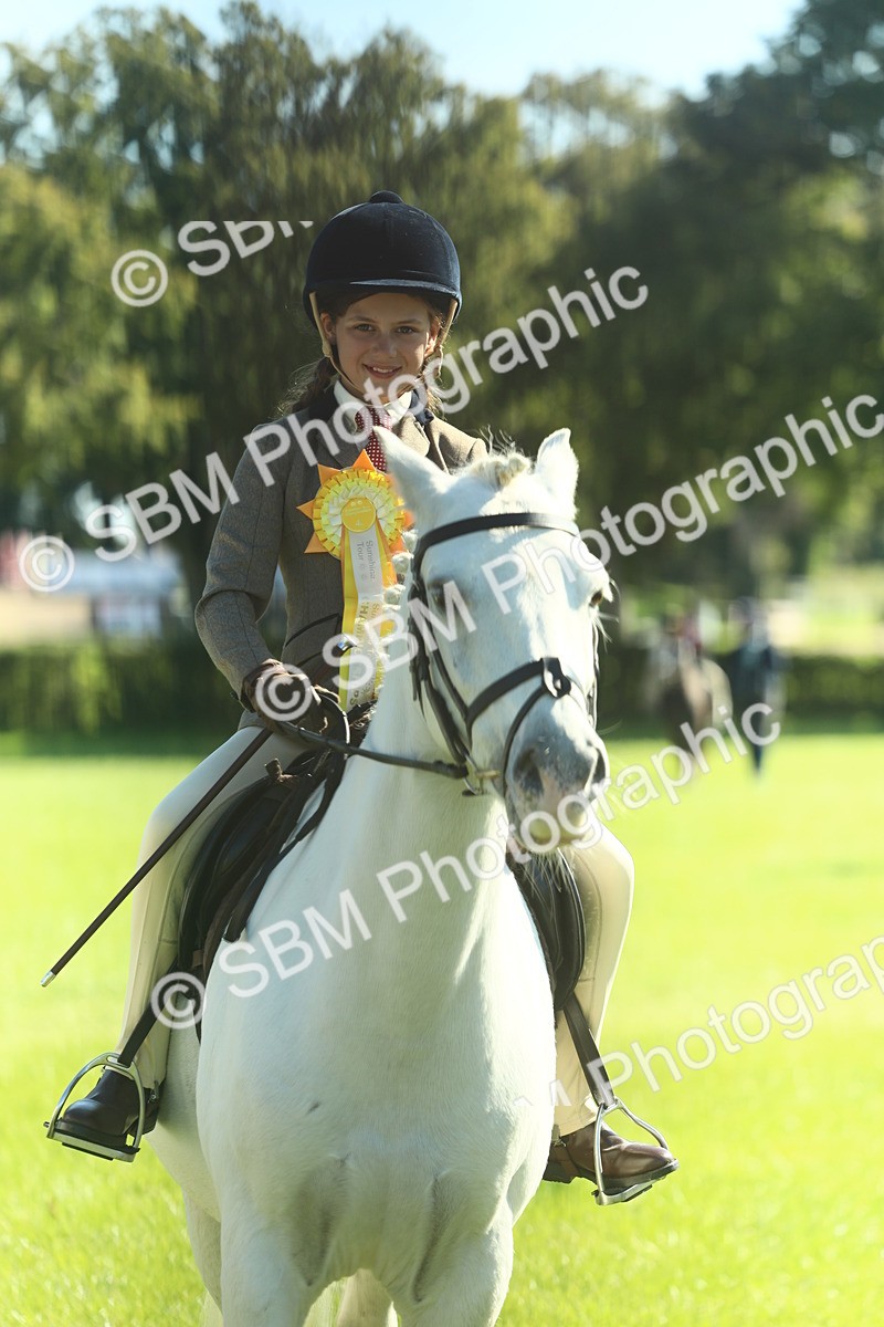SBM_39078 - S29 - Novice & Newcomers Working Hunter Pony