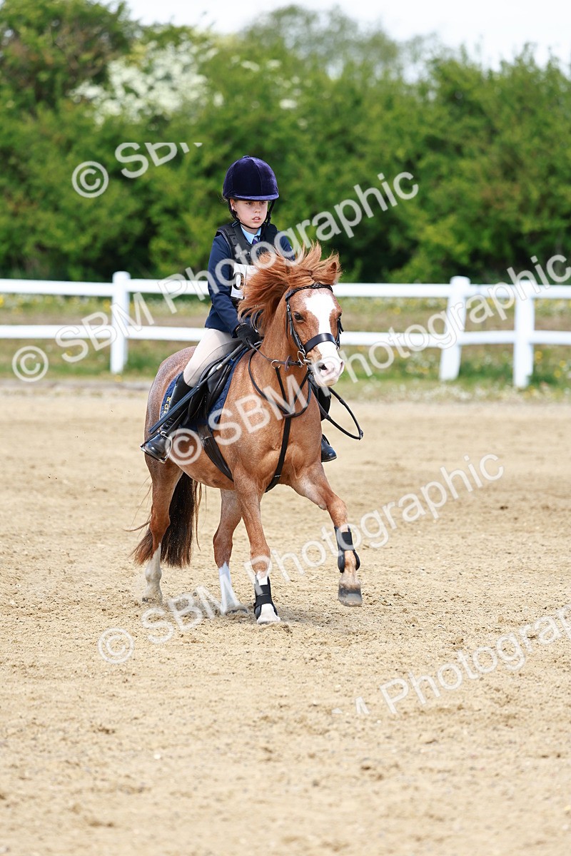 SBM_007729 - Class 3 - 60cm