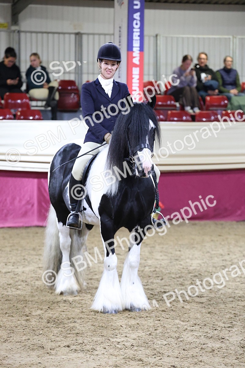 SBM_21320 - Class S - Style & Performance Champ