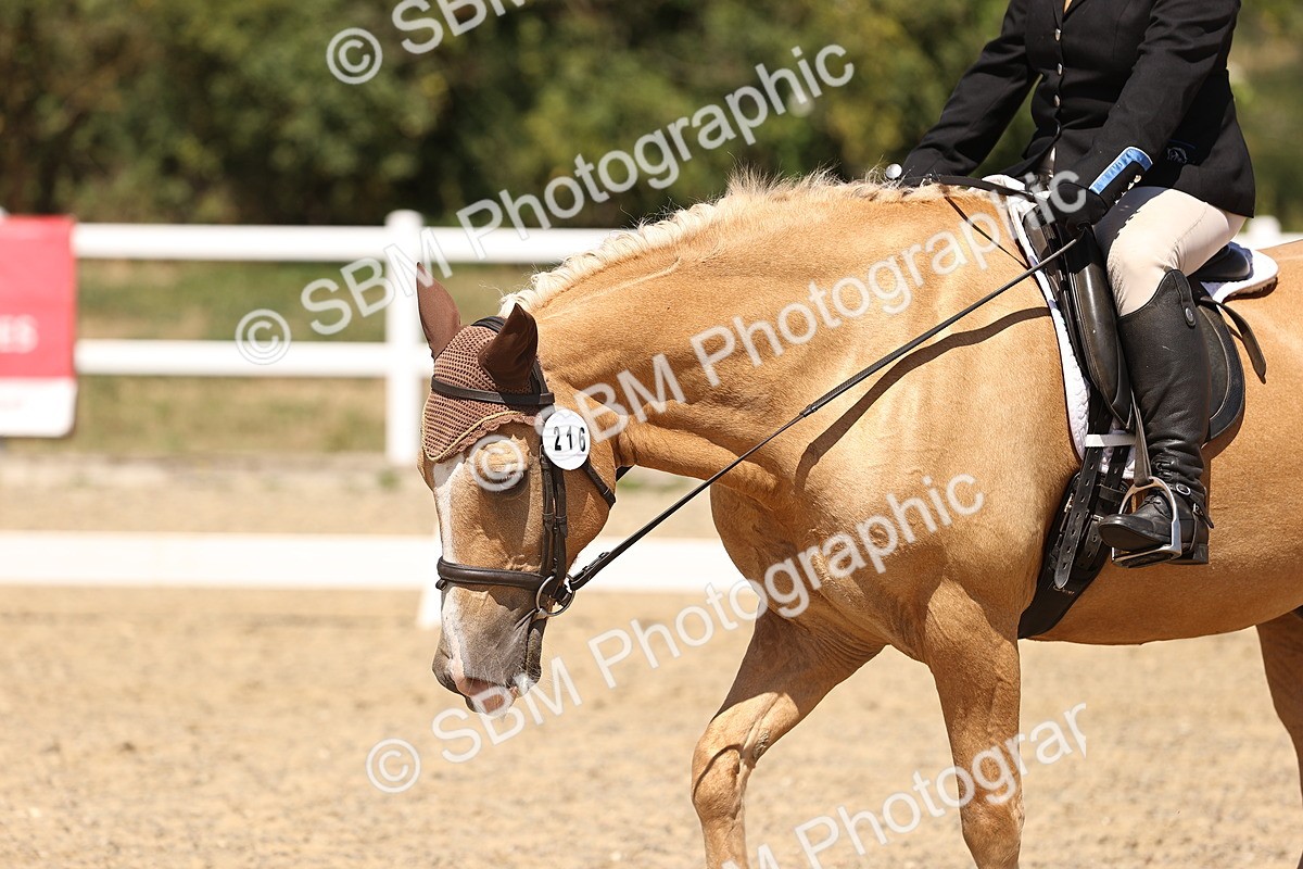 SBM_012232 - Novice 5 - 13.05-14.36