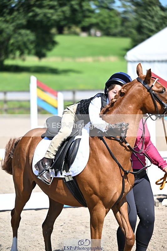 240729B-110653-02233 - Showjumping Competition