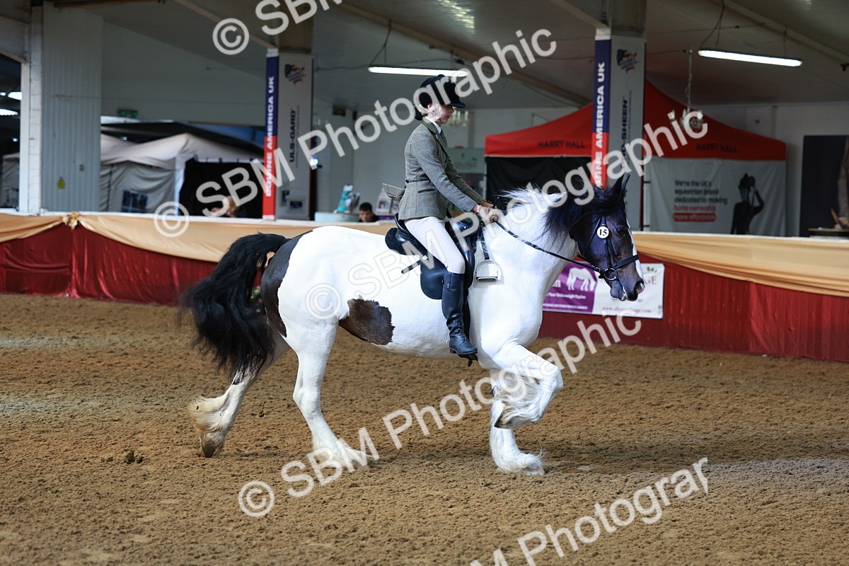SBM_11955 - Class 102 - Equitation (Best Rider) Adult