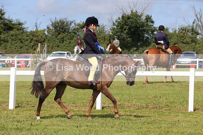 1X9A3811 - Plaited Mini Ridden Championship