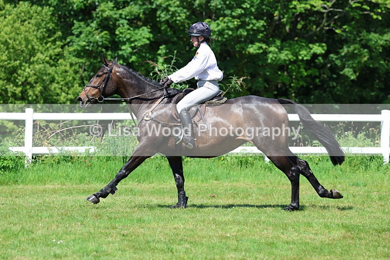 3E7A7069 - Class 30: Novice Working Hunter