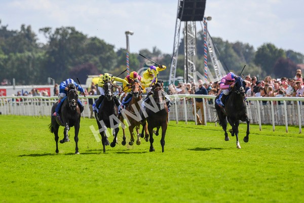 290723-Race 3-Alflaila-0526 - Race 3 3.15pm Sky Bet York Stakes (Group 2)