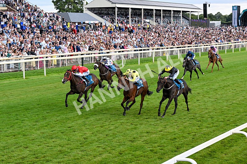 250726-Race 5-Rogue Jewel-1084 - Race 5 15.42pm Sky Bet Price Boosts EBF Fillies' Novice Stakes