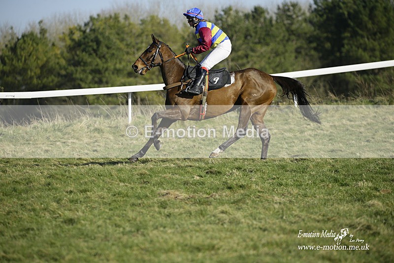 PtP 270222 284 - South & West Wilts Point-to-Point Larkhill 27/02/22
