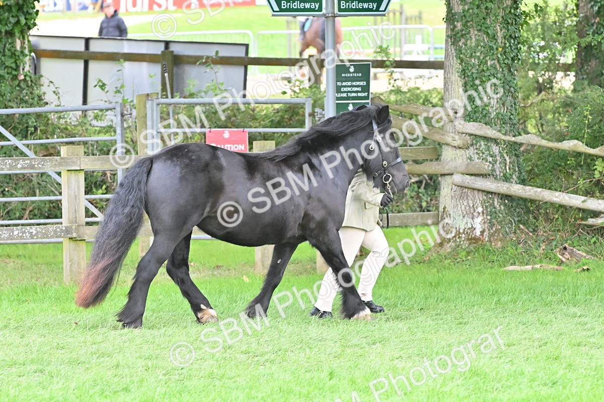 SBM_66789 - S41 - Junior Handler 8 Years & Under