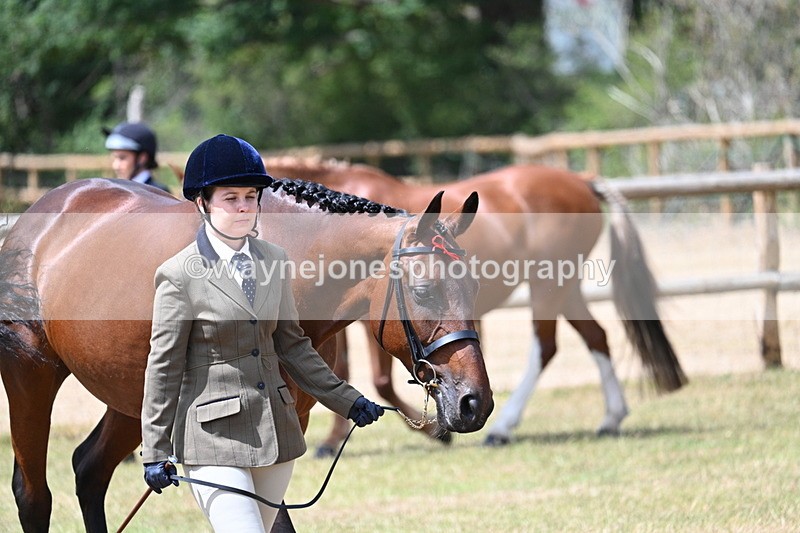 WJ7_1790 - Class 4a Prettiest Mare 14.2hh and over hand