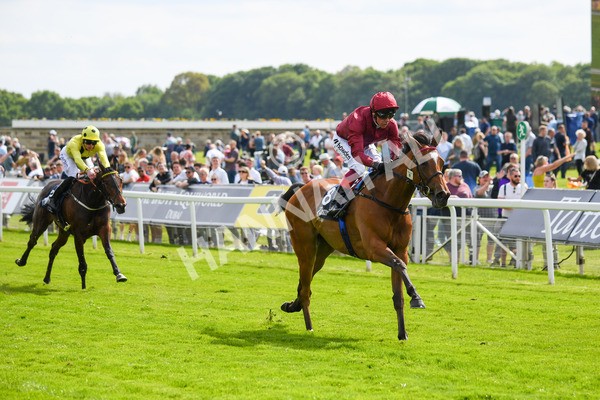 170523-Race 4-Soul Sister-0586 - Race 4 3.35pm Tattersalls Musidora Stakes