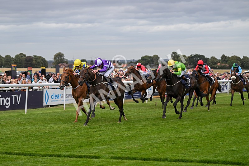 250824-Race 2-Ludos Landing-2951 - Race 2