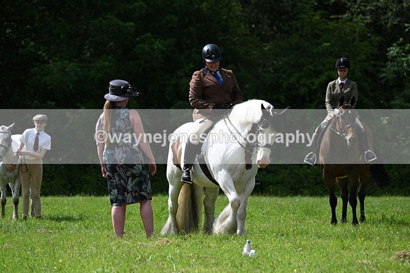 WJ7_1354 - Class 11 Condition & Turnout