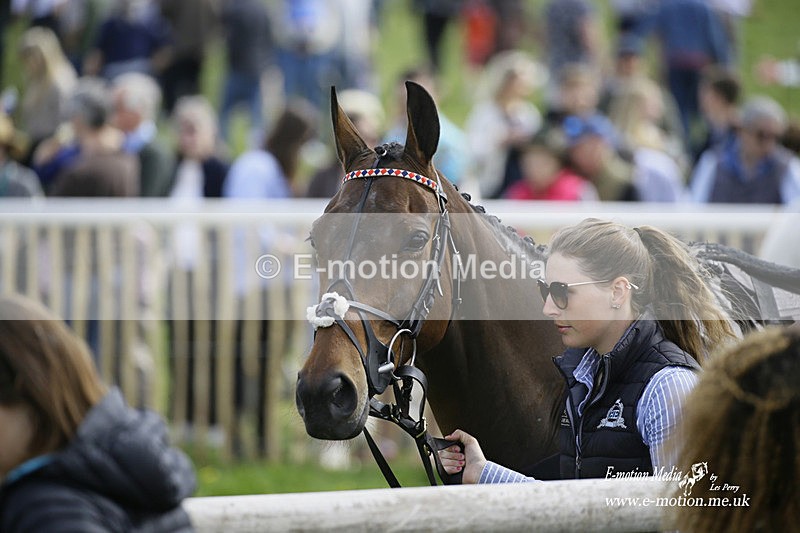 PtP 180422 41 - Old Berkshire PtP Lockinge 18/04/22
