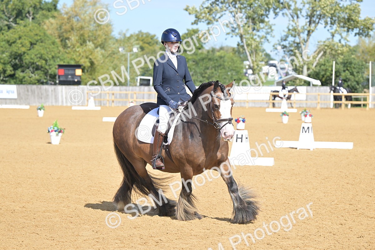 SBM_03926 - D2 - Small Tour Championship Intro 2