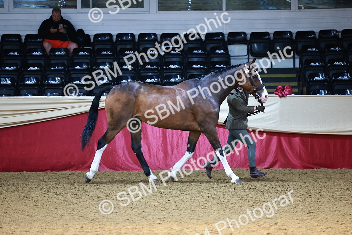 SBM_22192 - Class 902 - Supreme Final - IH Diamond