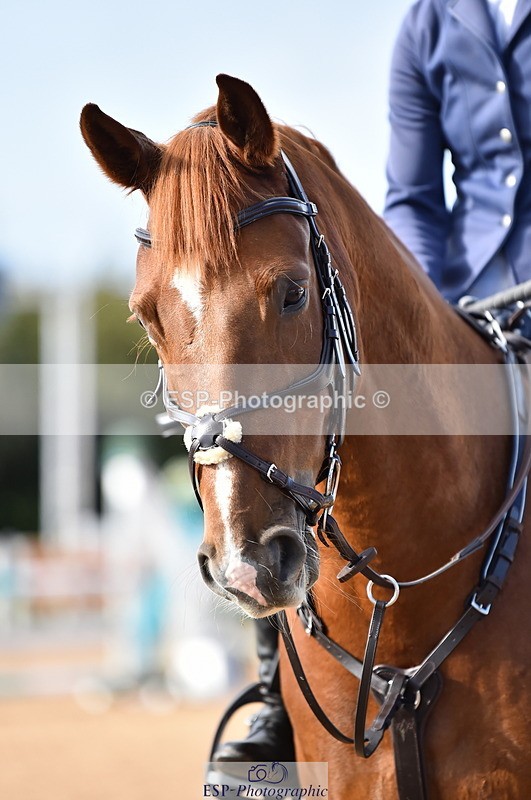 231014A-133304-05113 - Cls 14 95cm Grand Prix