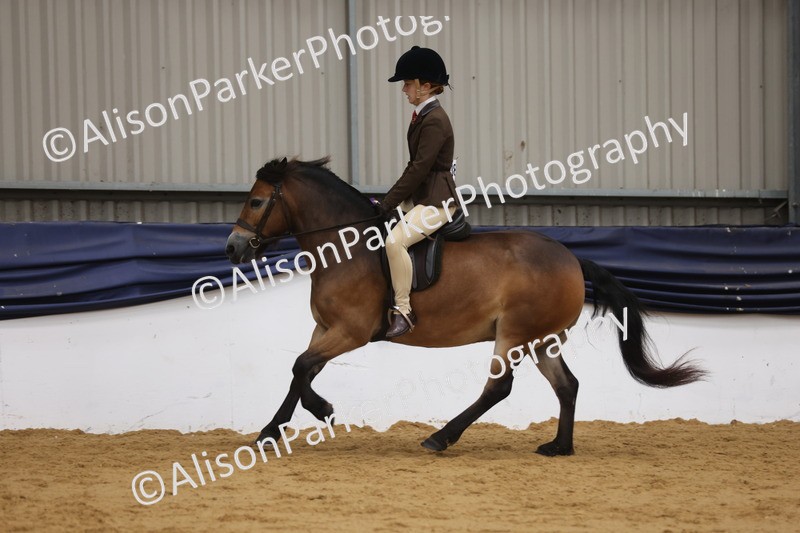 20260913-0626 - Class 126 - Novice Ridden