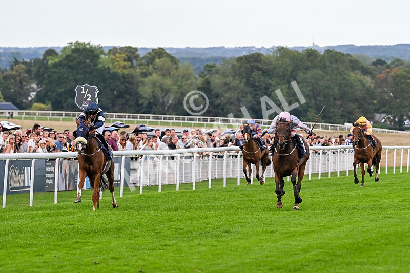 300826-Race 7-Marbuzet-1928 - Race 7 5.05pm Napoleons Casino And Restaurant Hull Apprentice Handicap