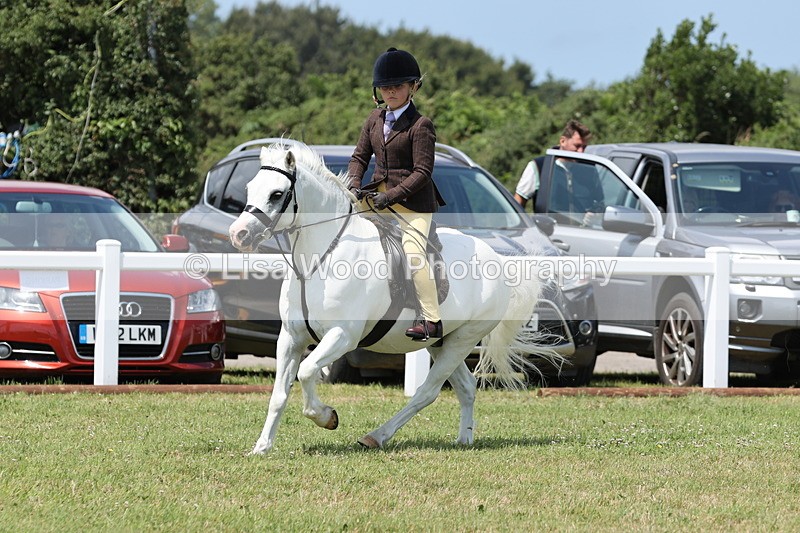 JPP_1869 - Class 18: Tiny Tots Working Hunter Pony