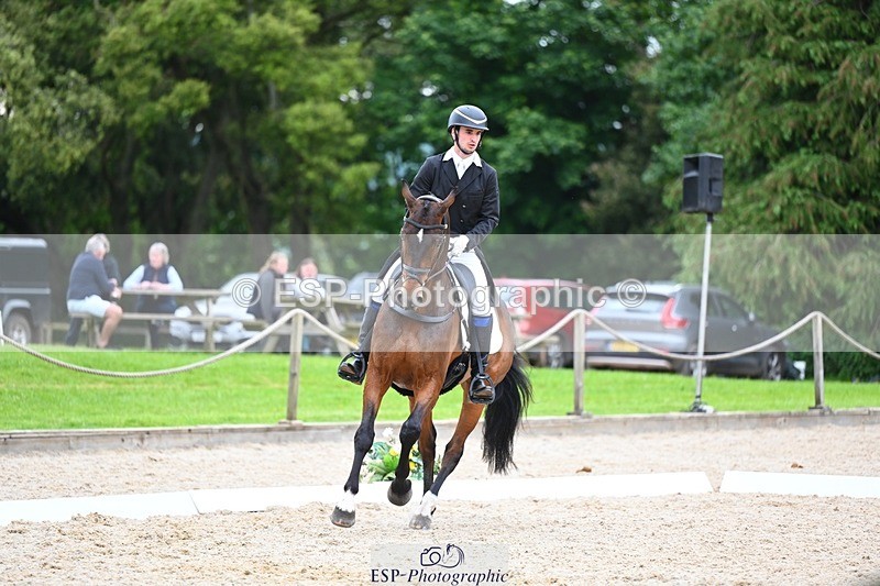 240524-180121-11549 - 162-HAZZLE_DAZZLE-Henry_Hobby