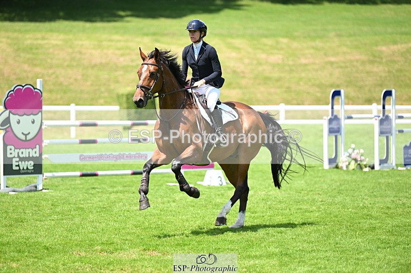 250614A-131110-06806 - Cls 20 Foxhunter