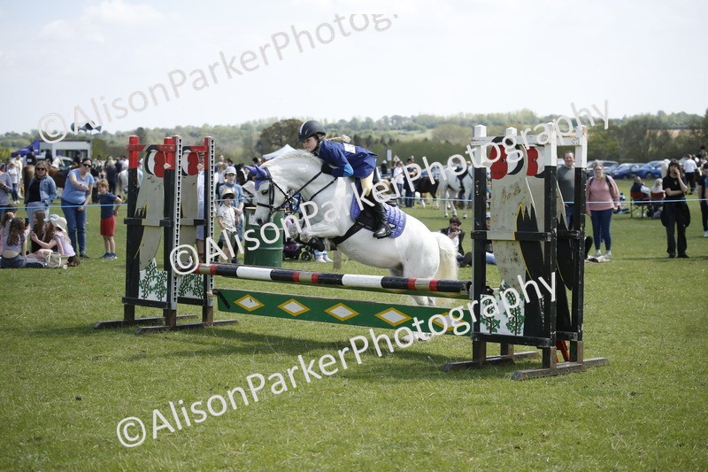 20250427-3581 - Class 14 - Absolute Novice 70cm