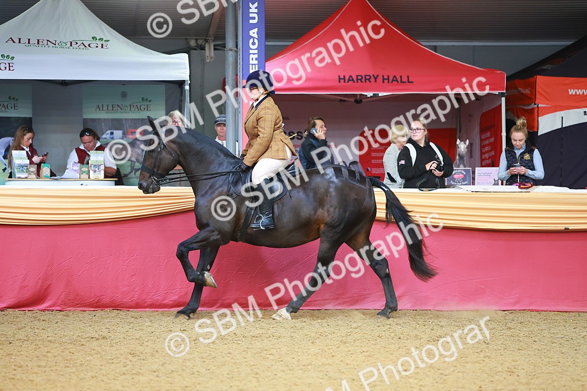 SBM_09513 - Class 102 - HOYS Veteran Qualifier - Ridden Veteran