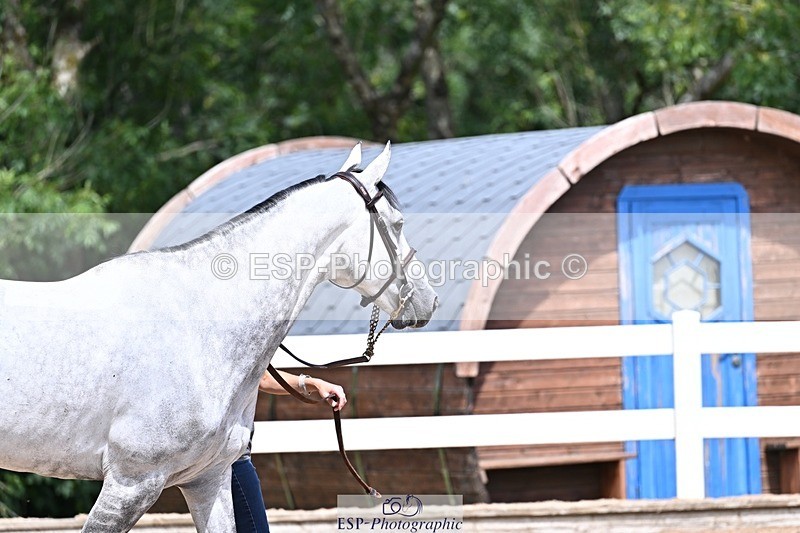 250716-124059-00106 - Trot Up 12.30 to 1.30