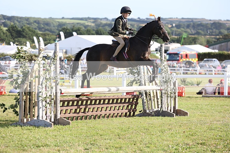 JPP_3250 - Class 21: Working Hunter 80cm