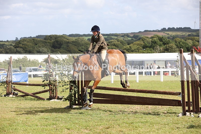 JPP_2633 - Class 20: Working Hunter 70cm