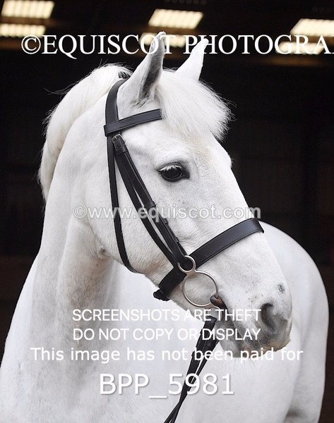 BPP_5981 - Erin Hancock ×2