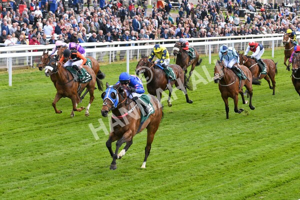 yr12052022r1-17 - Race 1 1.50pm Paddy Power 'Making Flat Less Flat' Stakes