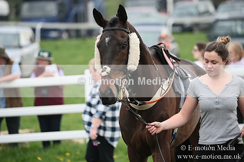 PtP 210418 134 - South & West Wilts Point-to-Point Larkhill 21/04/18