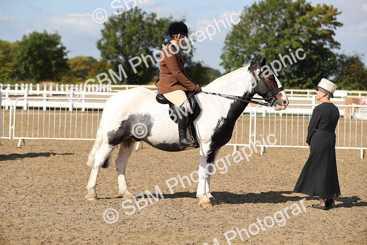 SBM_03196 - Class 44 Riding Club Horse/ Pony