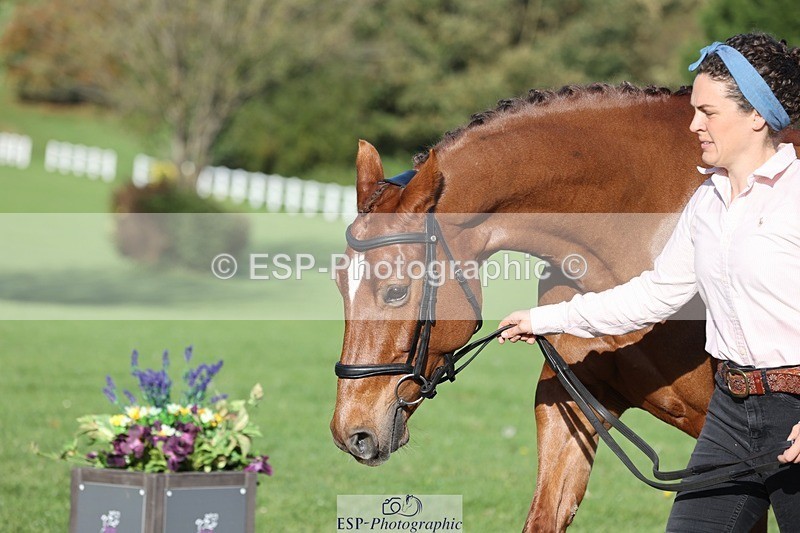 241027-100329-15666 - 546-Jennifer.Jaques-AURELIA.COOL