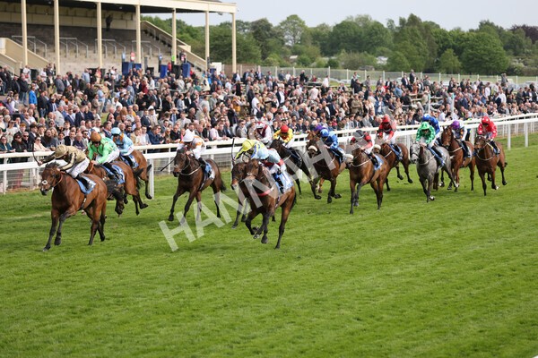 yr13052022r6-26 - Race 6 4.45pm Yorkshire Equine Practice Stakes