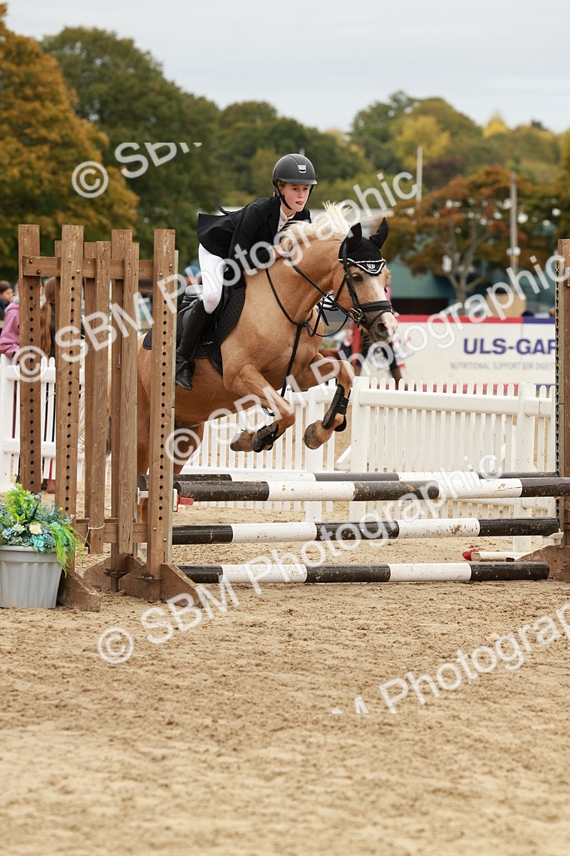 SBM_66898 - J13 - Junior Pony 60cm Championship