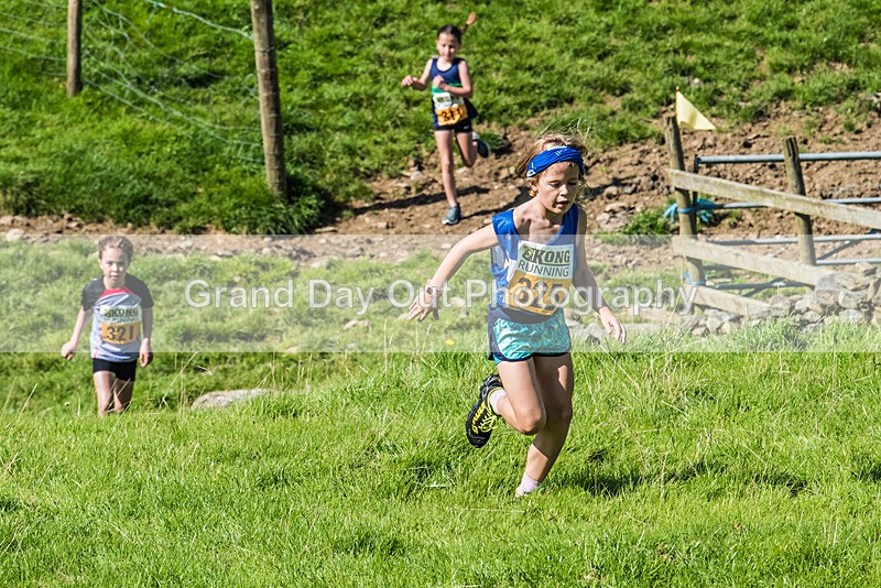 Loweswater Show-62 - Loweswater Show Junior & Senior Fell Races Sunday 3rd September 2023