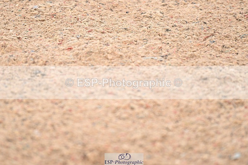 250426-084627-11392 - Cls 43 Ponies - Mini Tour