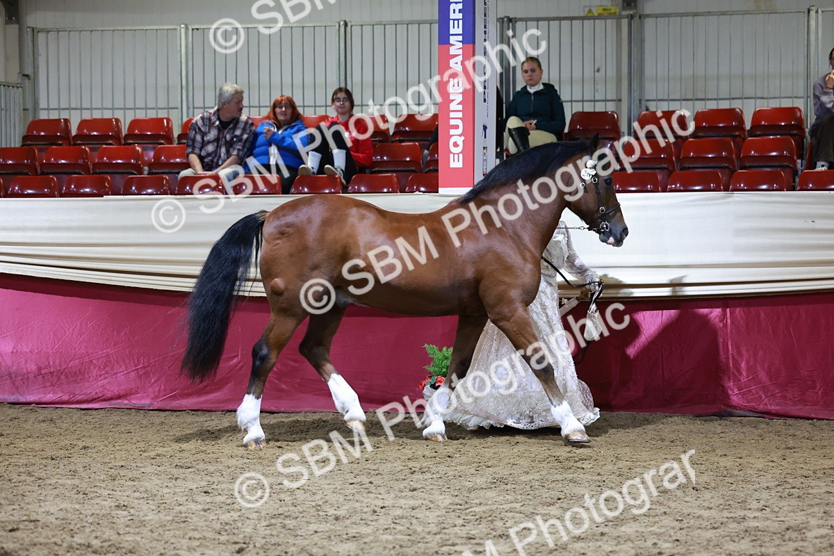 SBM_21417 - Class U - Costume Confour Champ