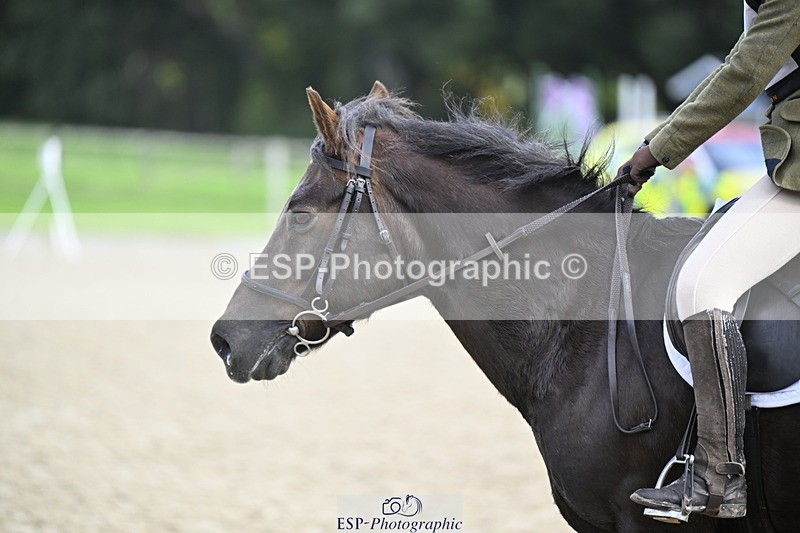 251005A-102857-03319 - Cls 04 GR 70cm