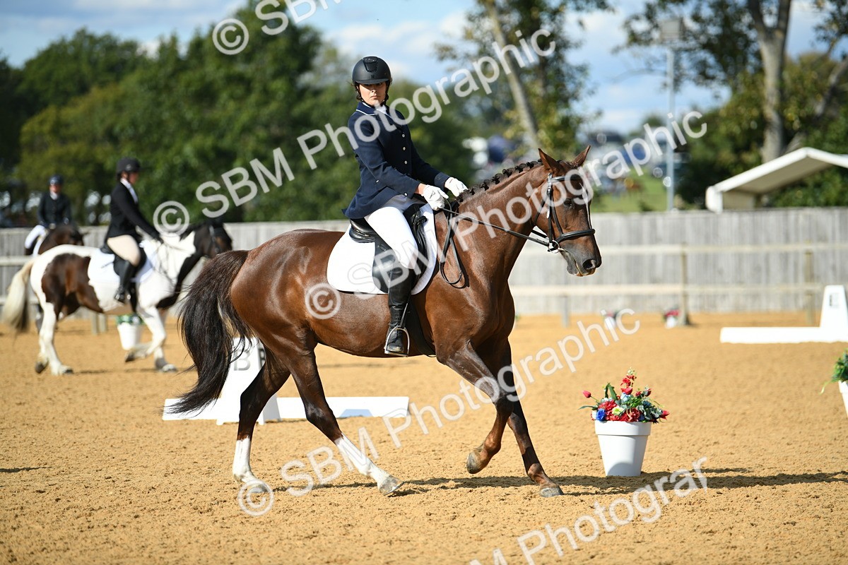 SBM_27053 - D16 - Small Tour Championship - Novice 28