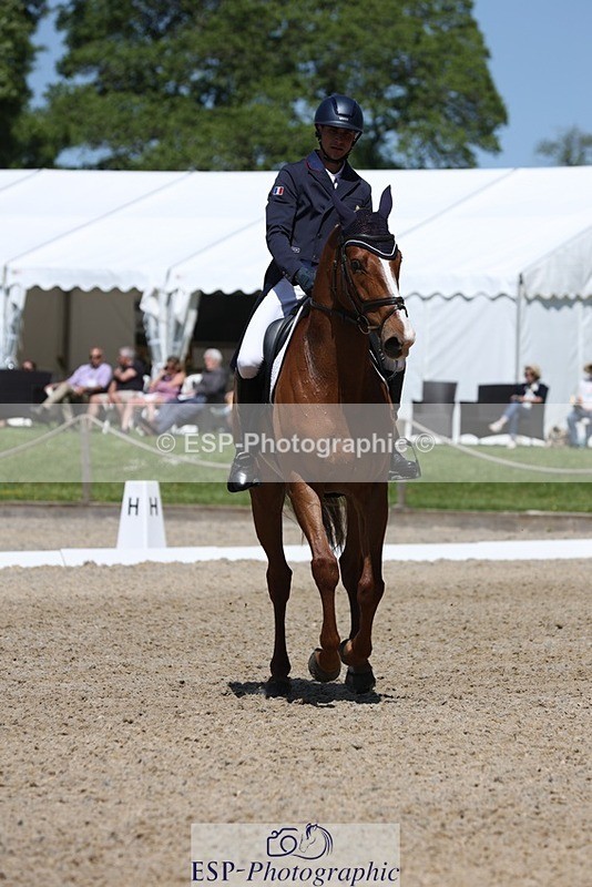 230526-114742-06111 - 156-JUST_PERFECT-Gaspard_Maksud-WEDTrotUp+DR