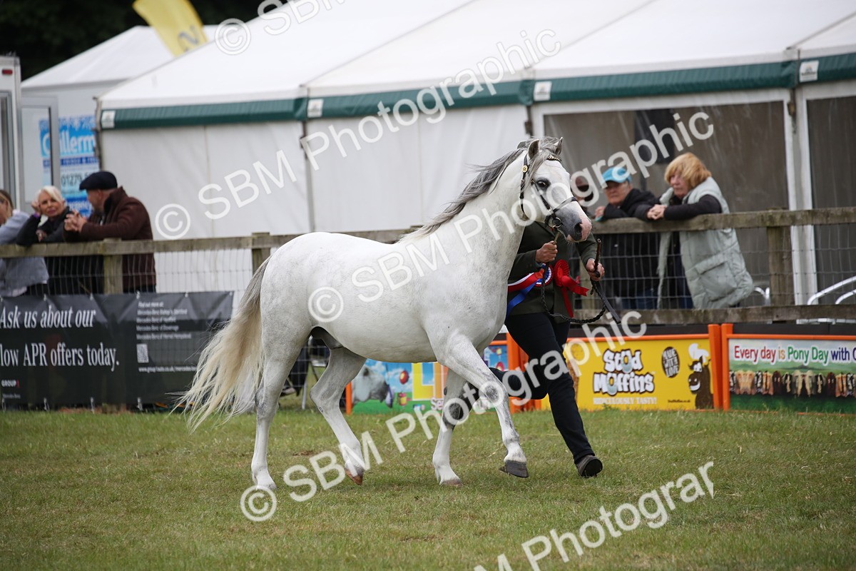 SBM_09799 - Ch 50 - Price Family Supreme In Hand