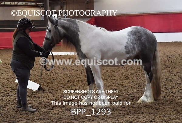 BPP_1293 - MORNING 9AM - 12PM