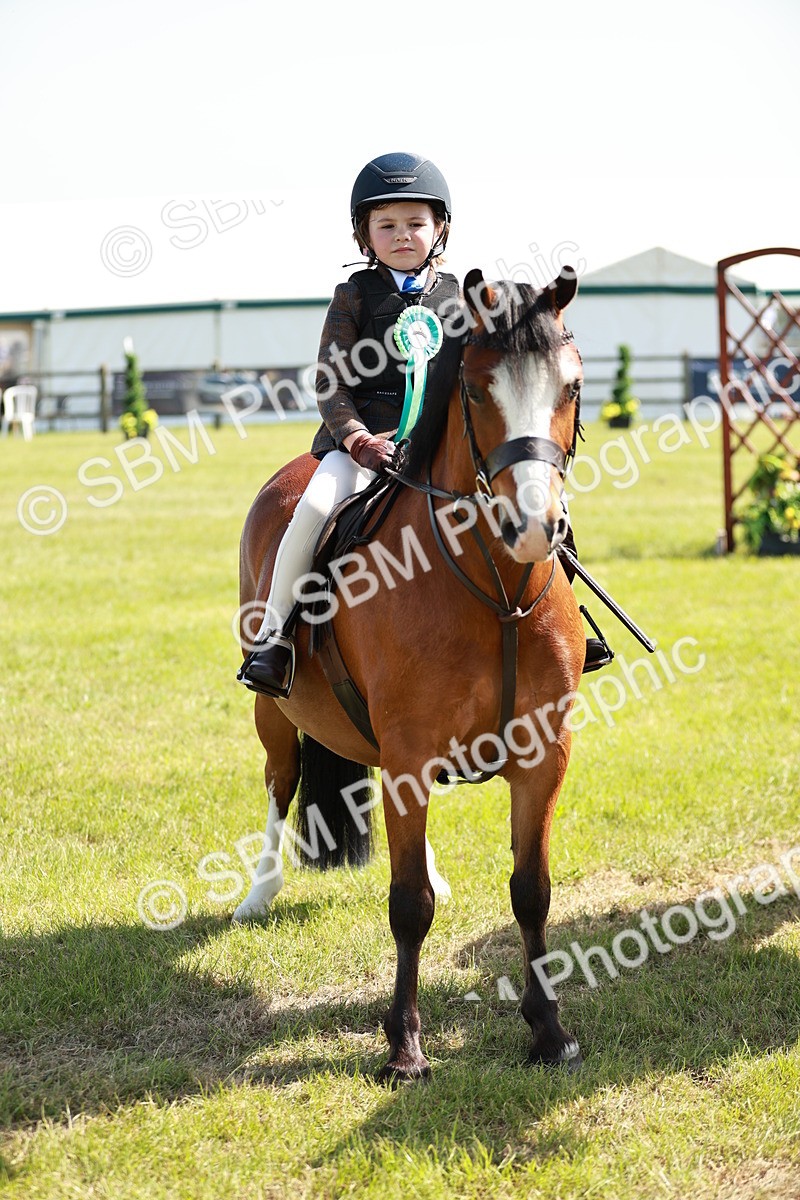 SBM_12811 - Class 106-107 - BSPS LIHS Working Sports Pony