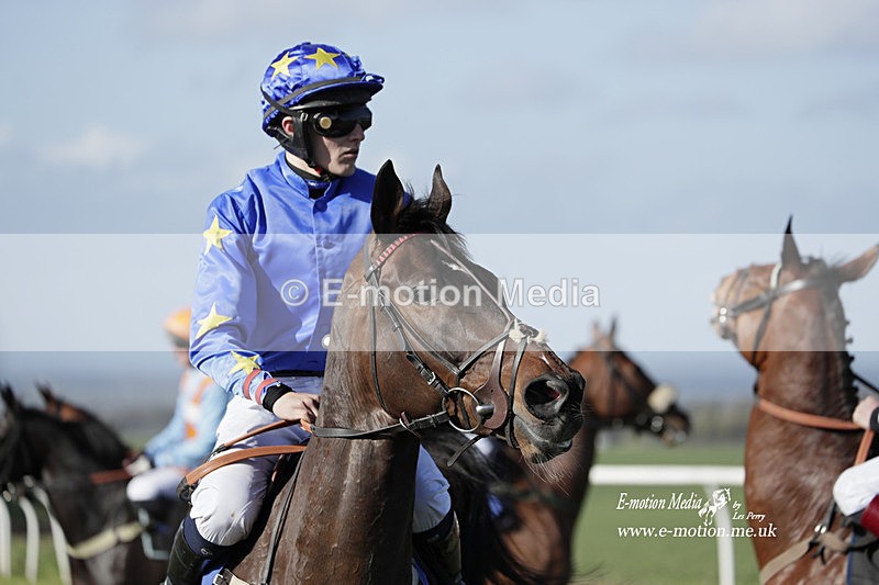 PtP 100423 1288 - Old Berkshire Point-to-Point Lockinge 10/04/23