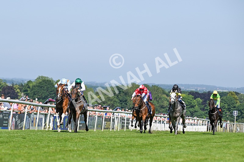 250624-Race 6-Cockalorum-9369 - Race 6